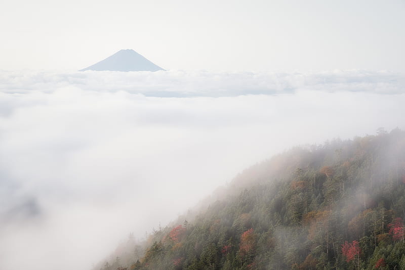 Fog Nature, fog, nature, mountains, HD wallpaper