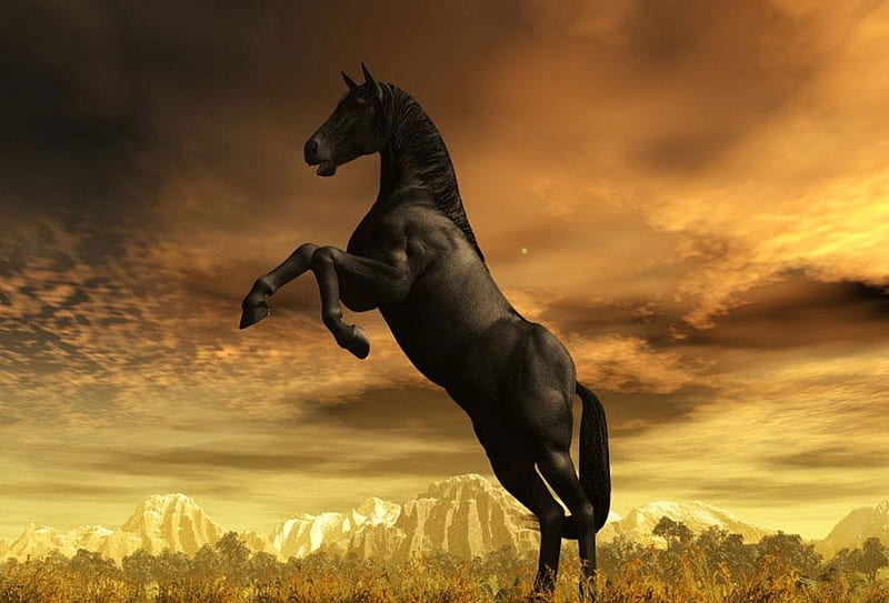 Black Stallion, black, horse, jump, grass, HD wallpaper