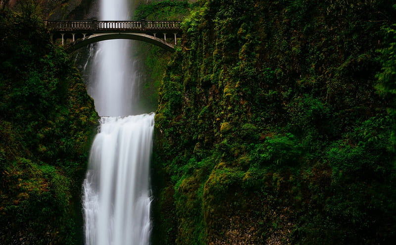 Waterfall and Bridge, nature, green, waterfalls, bridges, HD wallpaper