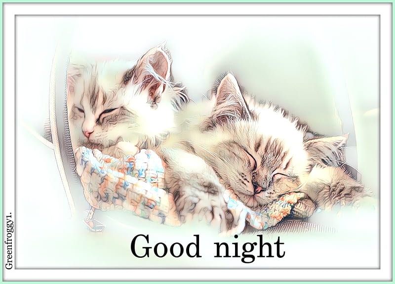 GOOD NIGHT, COMMENT, GOOD, CARD, NIGHT, HD wallpaper | Peakpx
