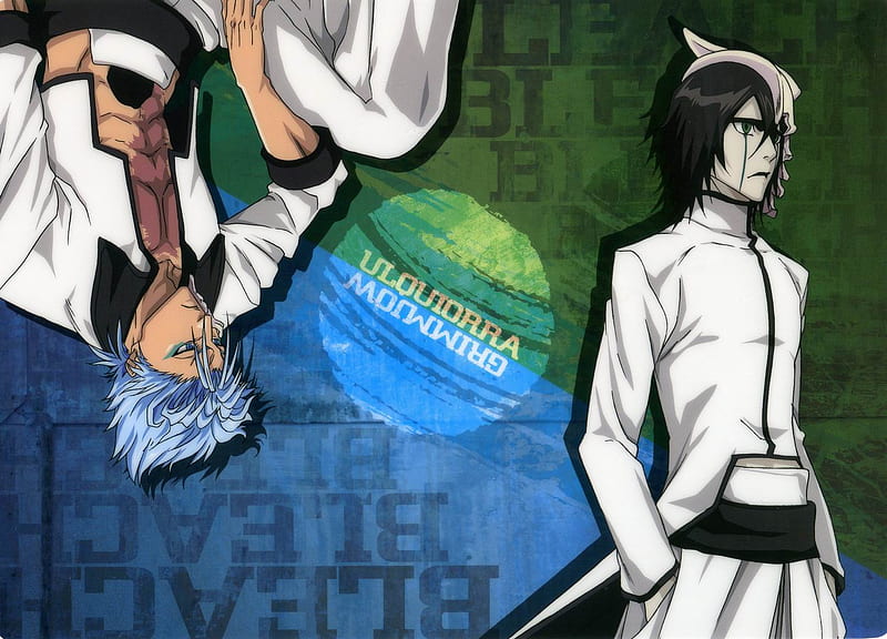 Grimmjow & Ulquiorra, bleach, ulquiorra, espada, blue hair, anime, hollow mask, grimmjow jeagerjaques, arrancar, grimmjow, black hair, ulquiorra schiffer, HD wallpaper