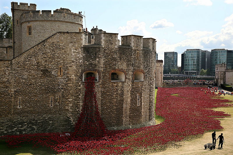 WWI Centenary at the Tower of London, London, Castle, Poppies, Medieval, HD wallpaper