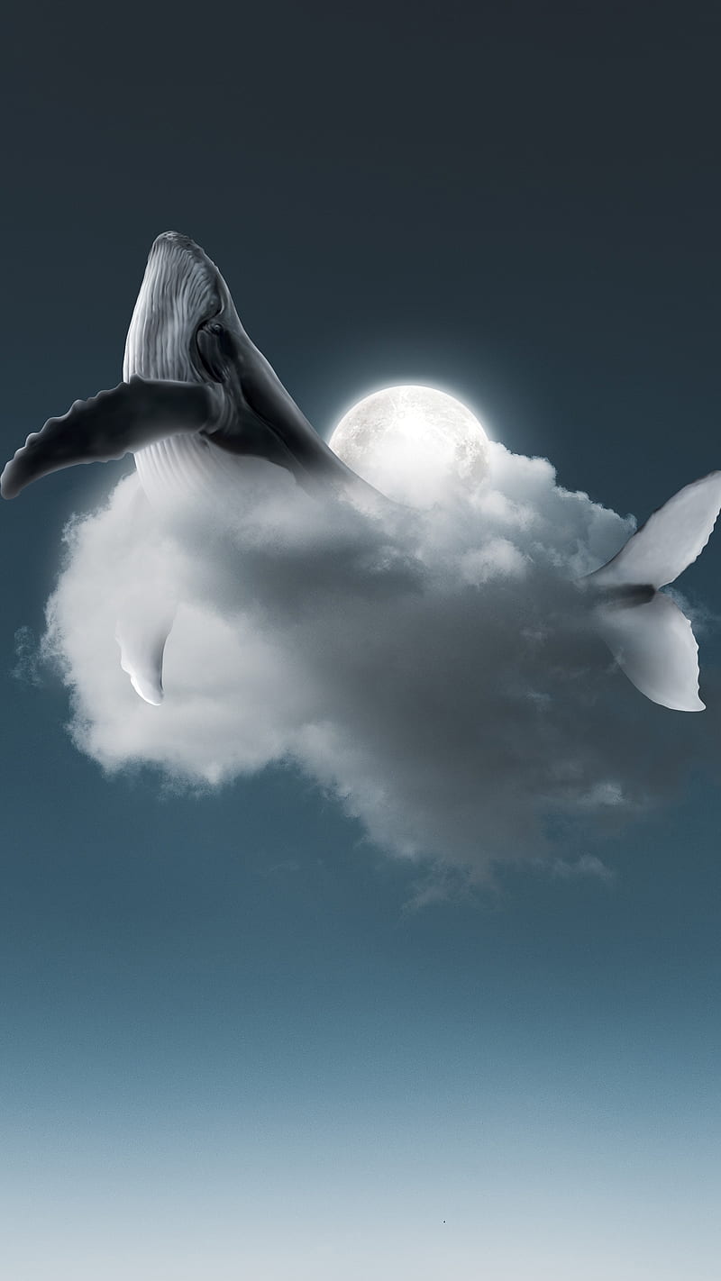 Cloud Whale, art, blue, gray, minimal, minimalist, moon, sky, HD phone wallpaper