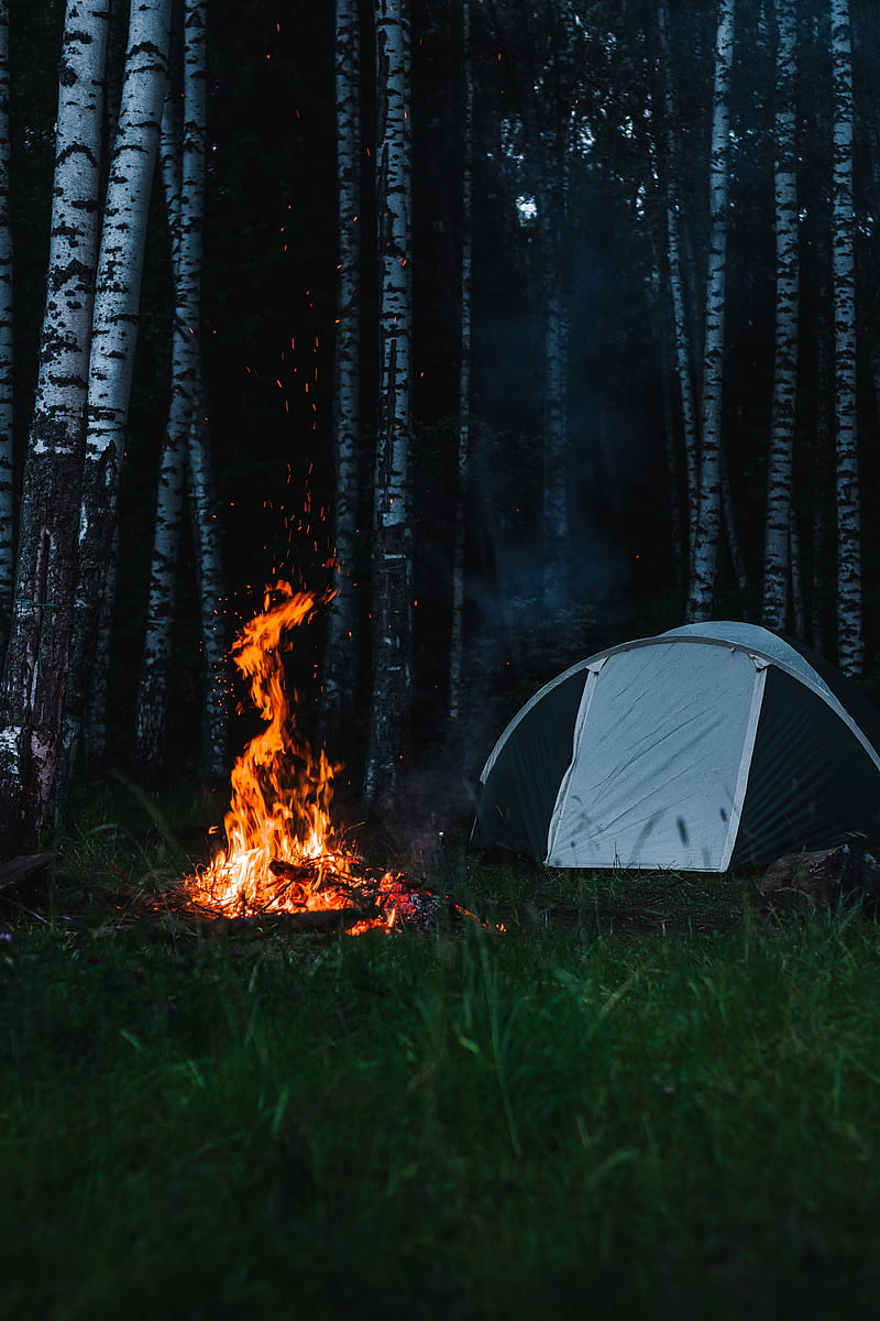 tent, camping, tourism, campfire, flame, HD phone wallpaper