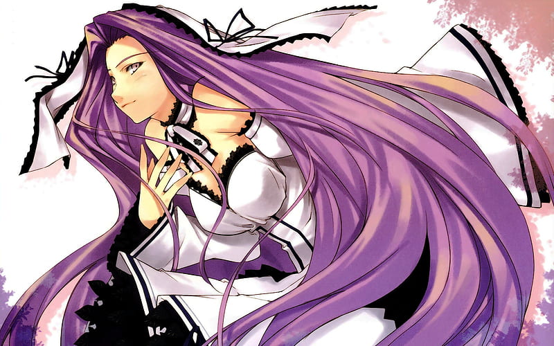 Beautiful Maiden, pretty, fate stay night, rider, medusa, anime, game, long  hair, HD wallpaper | Peakpx