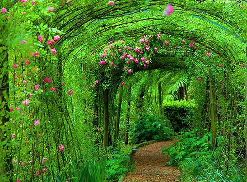 Green tunnel, nature, tunnel, green, other, HD wallpaper Green tunnel, nature, tunnel, green, other, HD wallpaper
