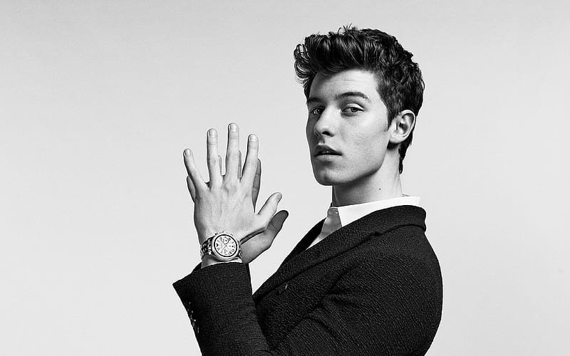 Shawn Mendes, Canadian pop singer, young stars, young singer, portrait, HD wallpaper