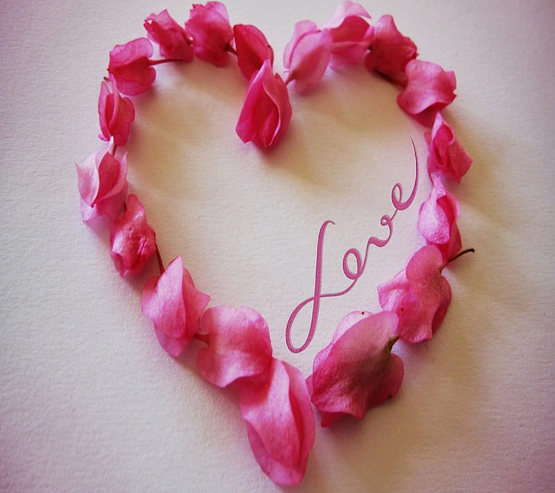 Love heart, i love u, rose, roses, HD wallpaper