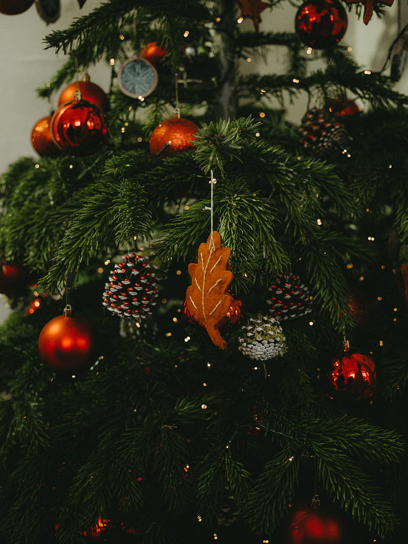 christmas tree, decoration, new year, christmas, holiday, HD phone wallpaper