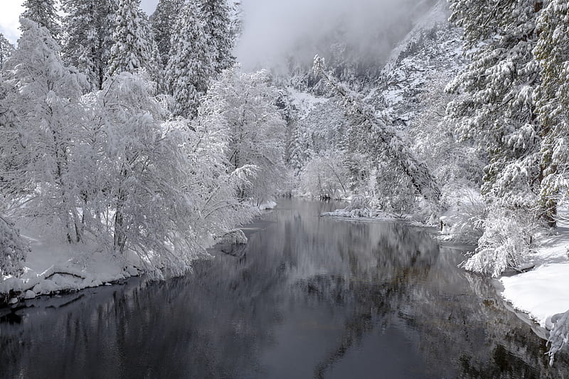 river, trees, snow, winter, landscape, HD wallpaper