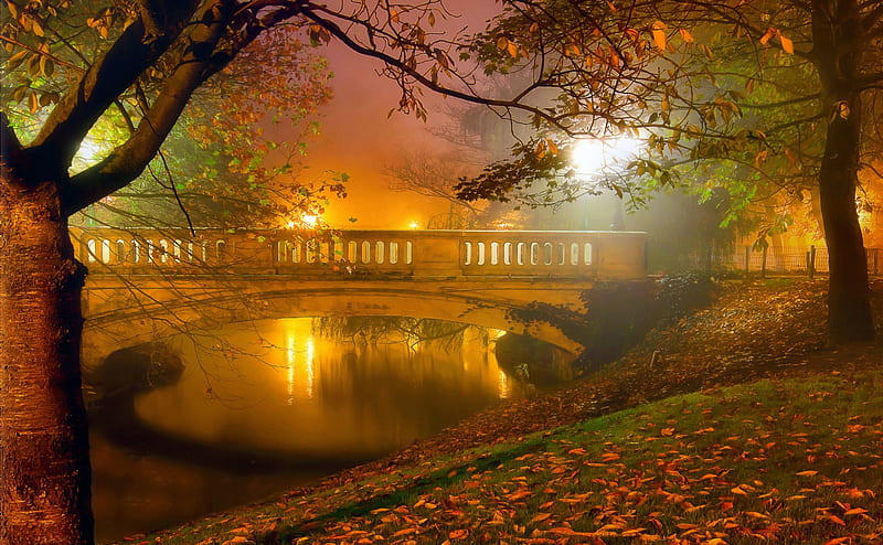 Autumn Mist, autumn, bonito, trees, lights, leaves, bridge, river, meadow, night, HD wallpaper