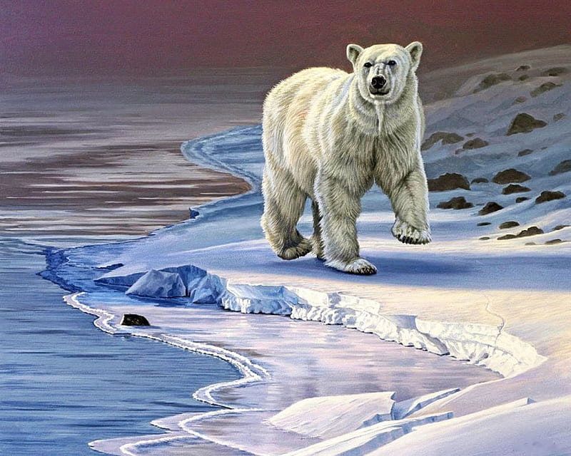Residuos piel Granjero Oso polar en la orilla helada, depredador, agua, pintura, hielo, obra de  arte, Fondo de pantalla HD | Peakpx