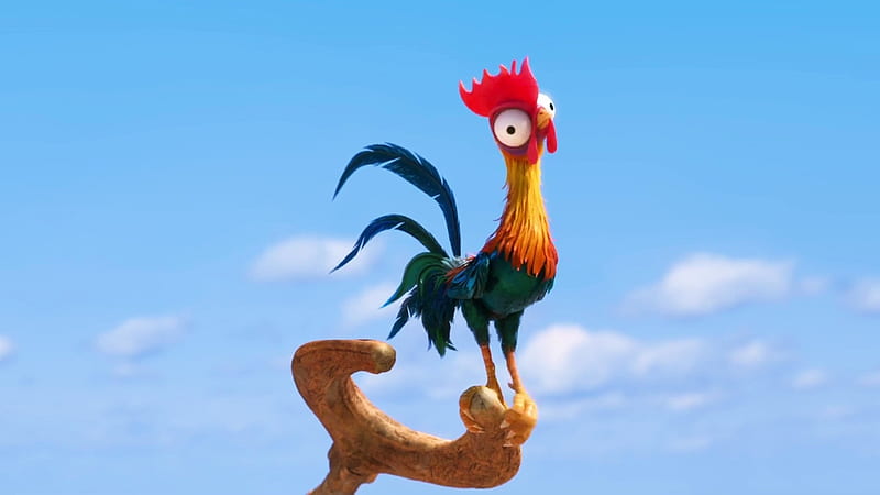 Moana 2016, poster, red, rooster, movie, chicken, animation, funny, moana, disney, blue, HD wallpaper