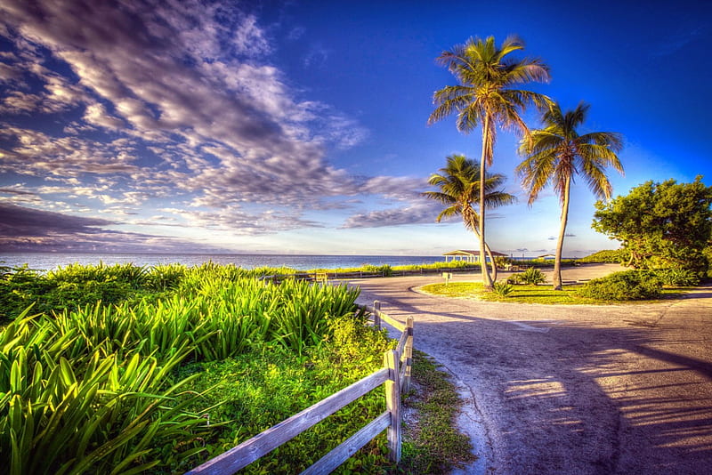 Tropical beach, shore, grass, bonito, sky, palms, sea, beach, summer, path, tropics, tropical, HD wallpaper