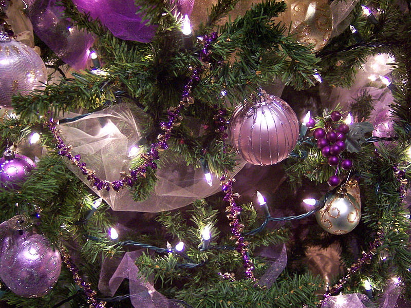 Purple Christmas, tree, christmas, purple, HD wallpaper