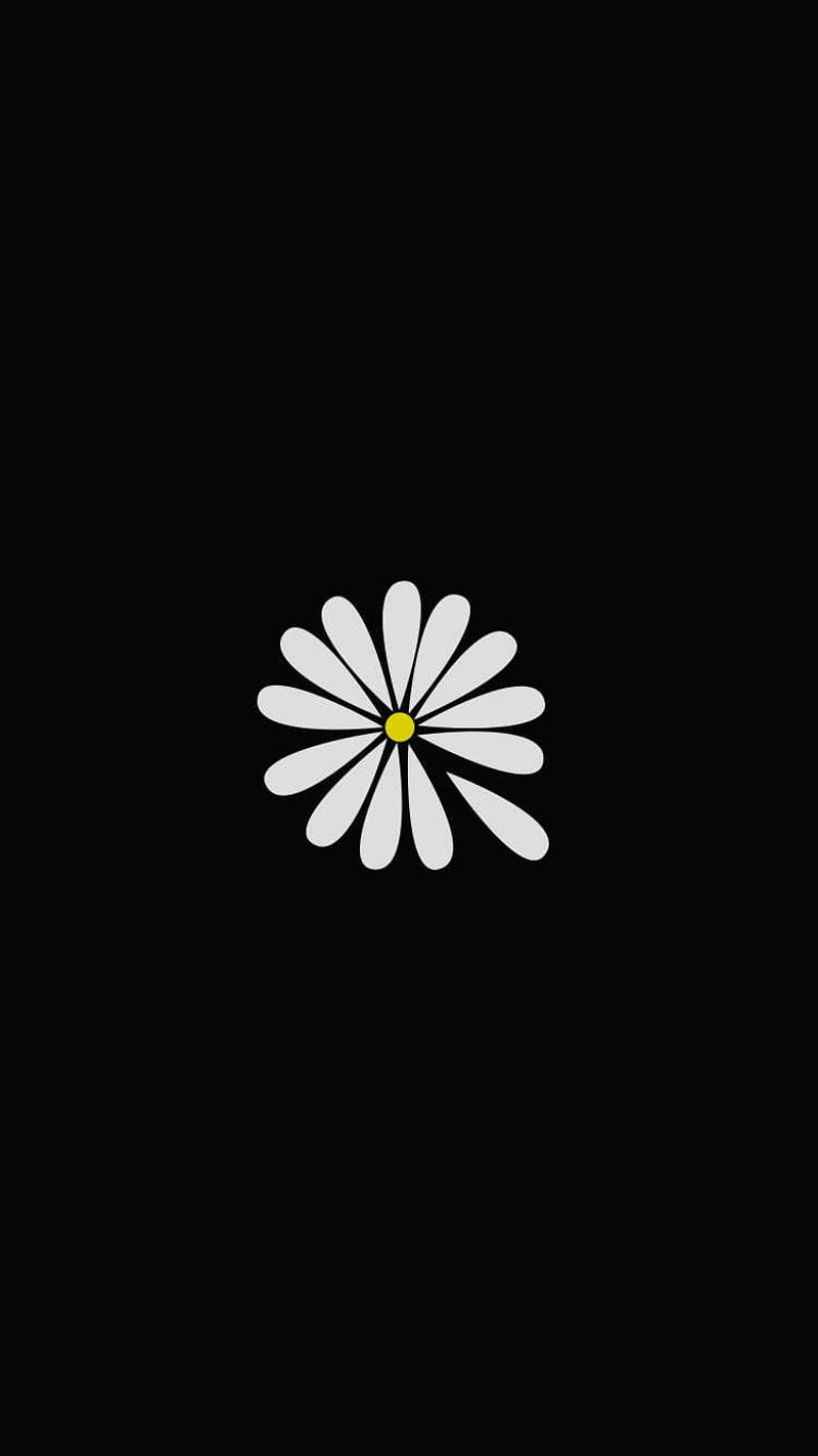 Looking for alaska, daisy, daisys, flower, flowers, HD phone wallpaper