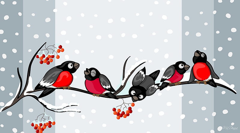 Caroling Winter Finches, Christmas, bull finches, Feliz Navidad, music, birds, winter, snow, berries, singing, HD wallpaper