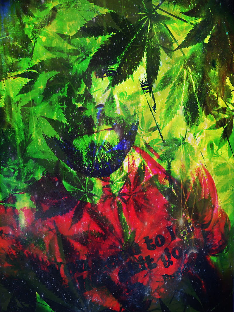 Mind Sativa, cannabis, thc, 420, marijuana, pot, herbs, happy, HD phone wallpaper