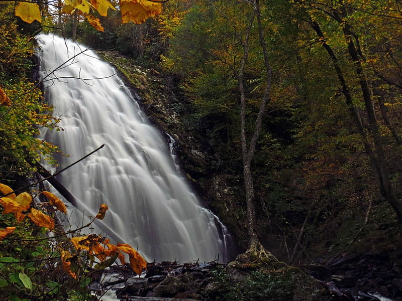 Crabtree falls, rocks, waterfall, North Carolina, Autumn leaves, HD wallpaper