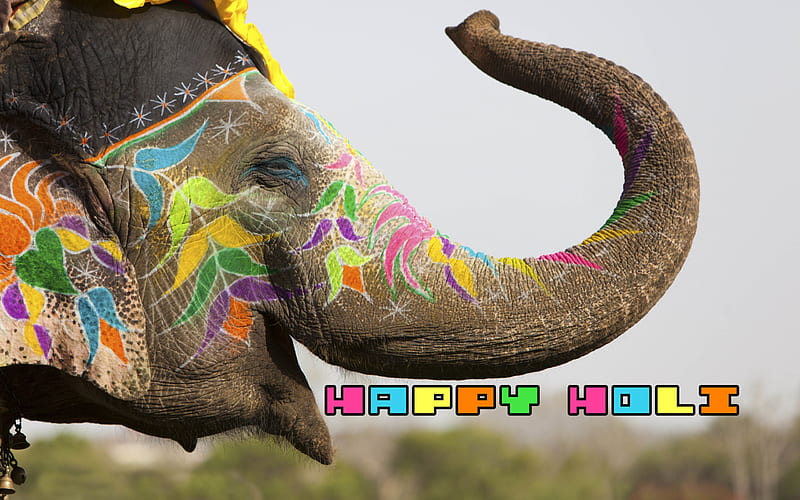 Elephant Holi, art, festival, holi colours, indian, HD wallpaper