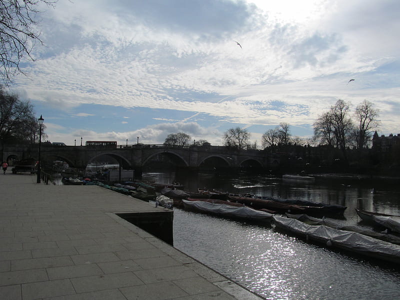 Richmond Sunshine, Bridges, Crossings, Architecture, Riverside, HD wallpaper