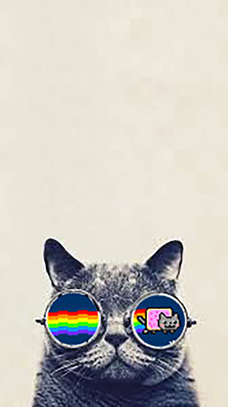 Hipster-Nyan cat, hipstercat, nyan cat, HD phone wallpaper
