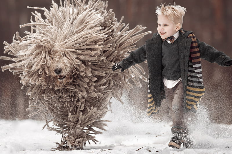 Playing in the snow, little, caine, animal, winter, komondor, big, snow, andy seliverstoff, mop, running, ciobanesc maghiar, funny, dog, HD wallpaper