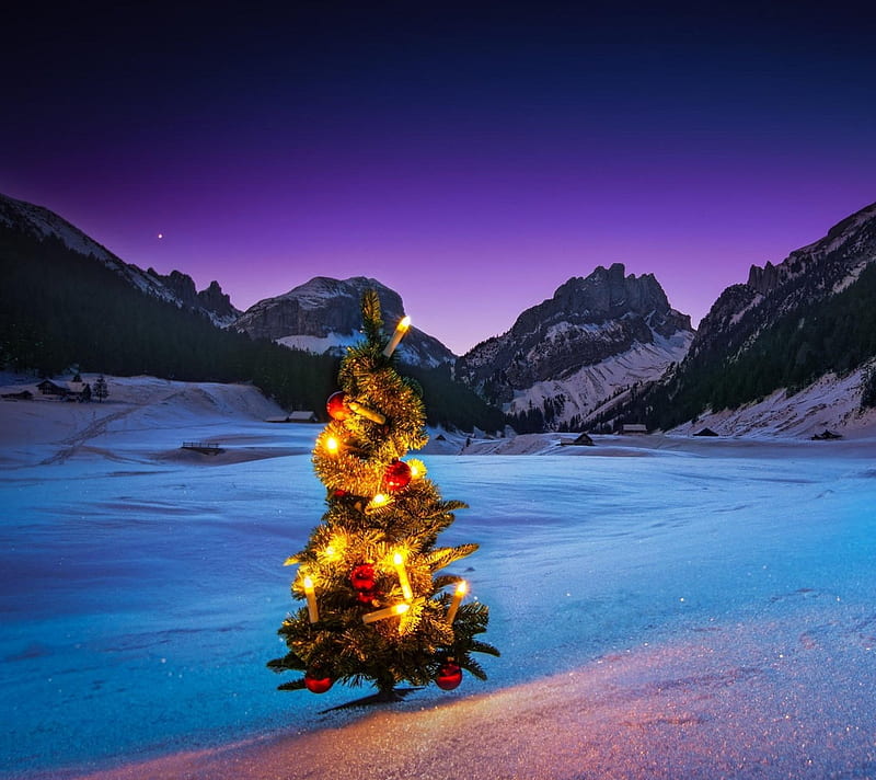 Christmas Tree, holiday, mountain, sky, winter, HD wallpaper Peakpx