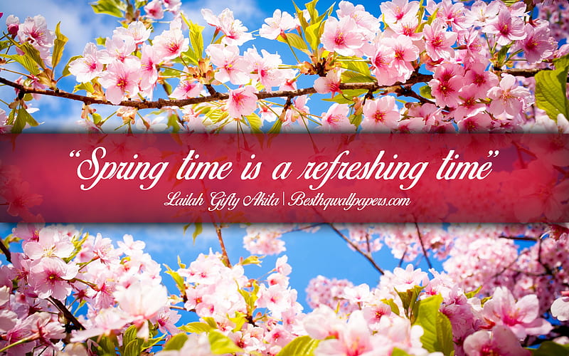 Spring time is a refreshing time, Lailah Gifty Akita, calligraphic text, quotes about spring, Lailah Gifty Akita quotes, inspiration, spring background, quotes about time, HD wallpaper