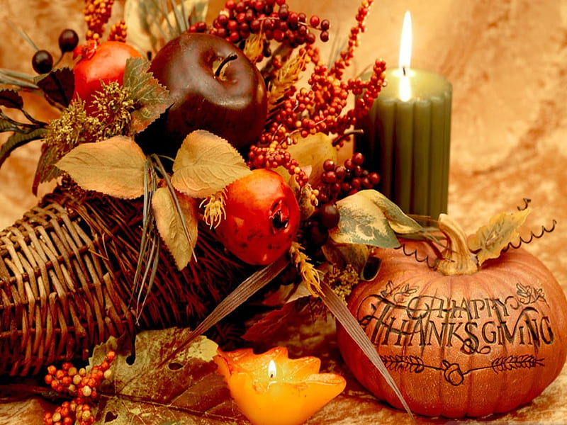 Happy Thanksgivng To Everyone, Fall, happy thanksgiving, autumn, holiday, decoration, thanksgiving, candles, still life, cornucopia, pumpkin, HD wallpaper