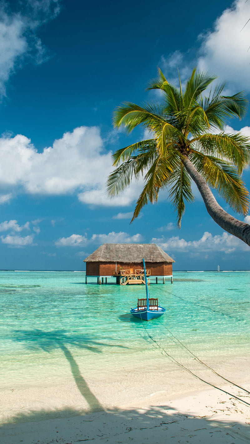 Beautiful Maldives Islands for an ideal summer getaway. Times of India, HD phone wallpaper