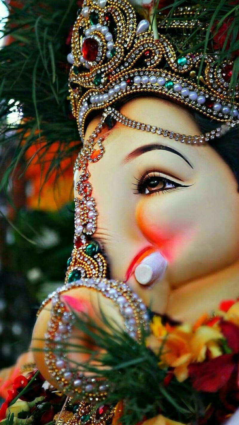 Ganesh Thakur, Lord Ganesha Face Closeup, god, ganpati bappa, HD phone wallpaper