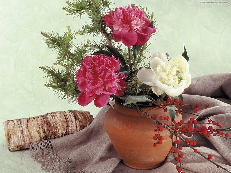 Flowers for RoseofSharon, red, shawl, pot vase, bonito, white, peonys, HD wallpaper