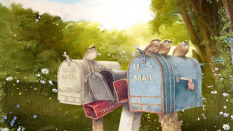 USPS Birds, postal, Firefox theme, USPS, mailboxes, birds, country, trees, field, HD wallpaper