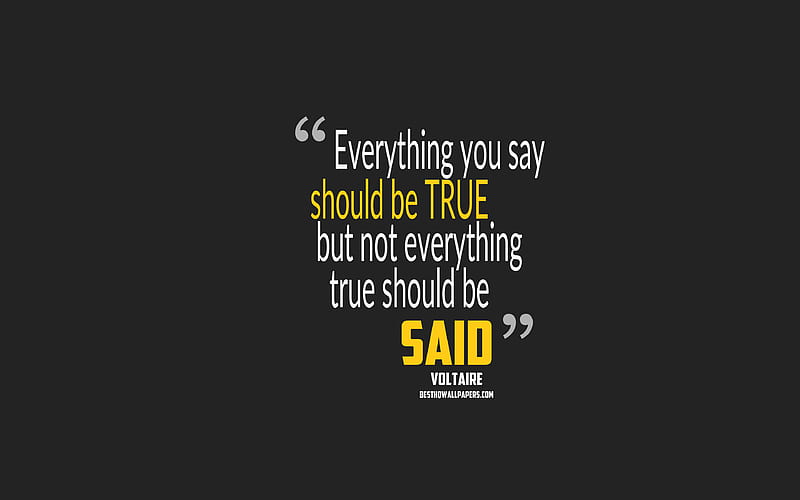 Everything you say should be true but not everything true should be said, Voltaire quotes quotes about truth, motivation, gray background, popular quotes, HD wallpaper