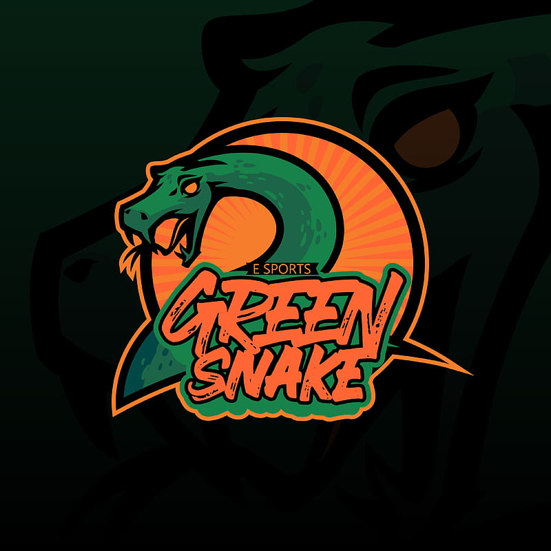Hand Drawn Of Green Snake Illustration For T Shirt, , Logo Or Tattoo. Green  Snake Illustration Isolated On Dark Background. 1919314 Vector Art At  Vecteezy, HD phone wallpaper | Peakpx