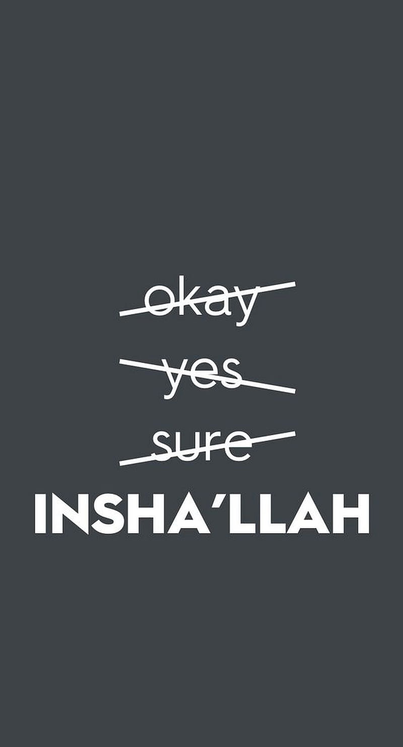 iinsha allah, game, god, ok, okay, saying, self, snow, sure, tail, you, HD phone wallpaper