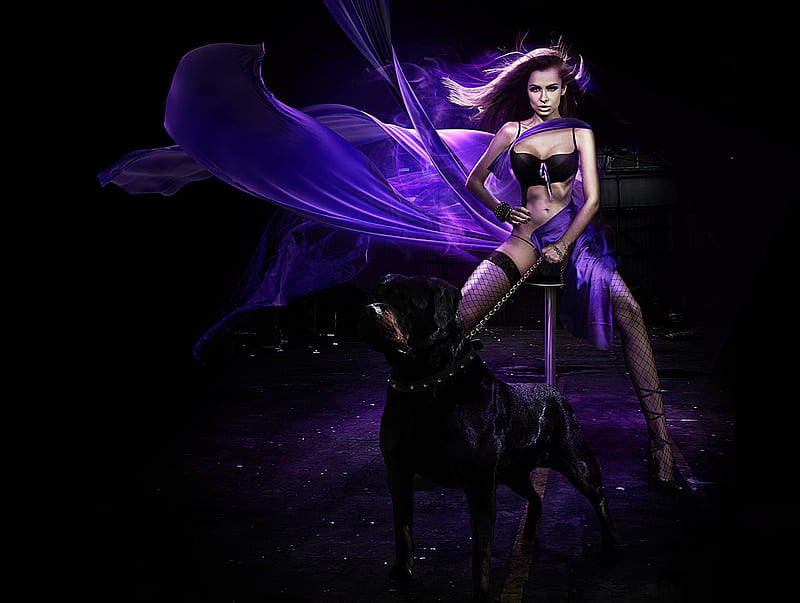 Black leash, purple, leash, black, woman, dog, HD wallpaper
