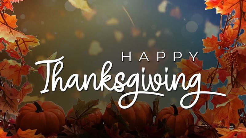 500+ HD Thanksgiving Backgrounds for Free - Pixabay