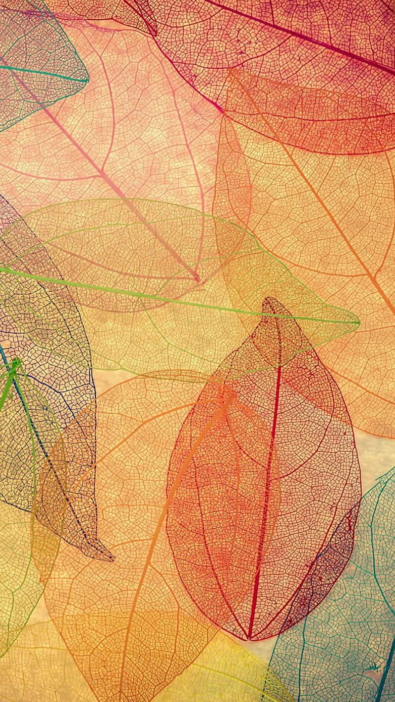 Leaves Patterns, colorful, leaf, pattern, HD phone wallpaper