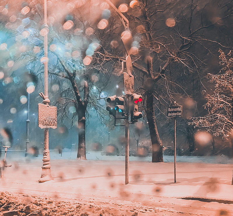 traffic light, snow, blizzard, winter, street, HD wallpaper
