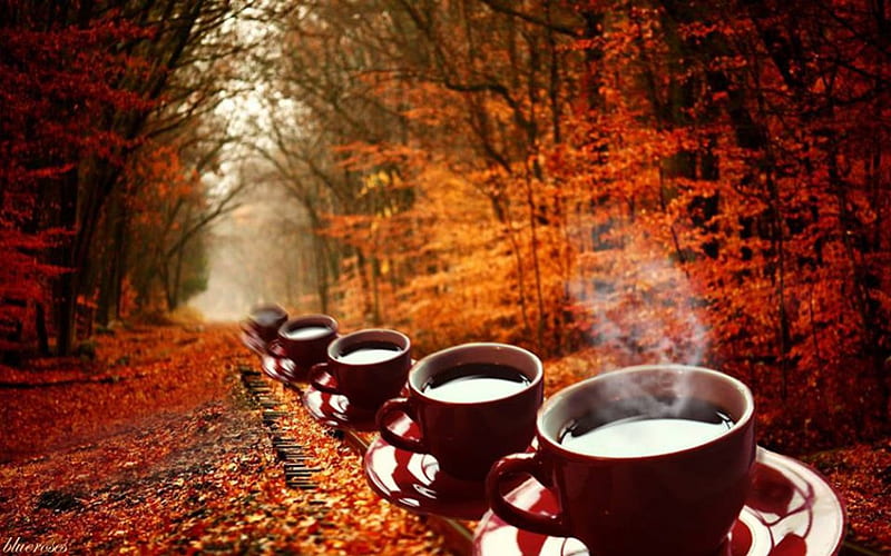 HD-wallpaper-autumnal-train-with-coffee-brown-coffee-good-morning-kafe-autumn-colours-autumn-coffee-good-morning-coffee-black-morning-coffee-misty-autumn-morning-train-coffee-red-cups-of-coffe-cups-of.jpg