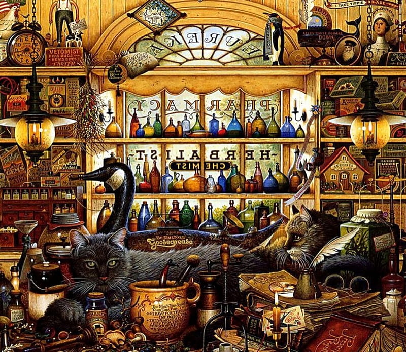 Pharmacy, utensils, painting, store, cats, artwork, HD wallpaper