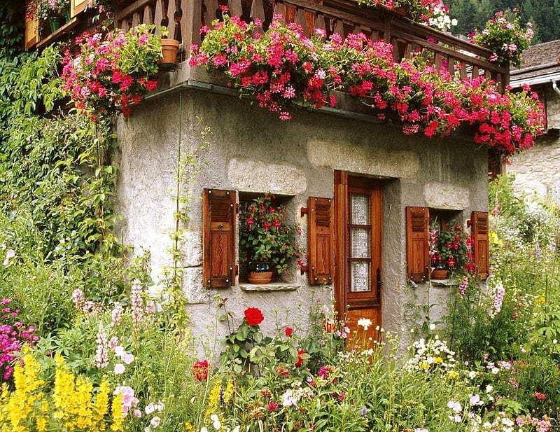 ......... lovely cottage........., roof, window, grass, cottage, door, glass, green, flowers, white, HD wallpaper