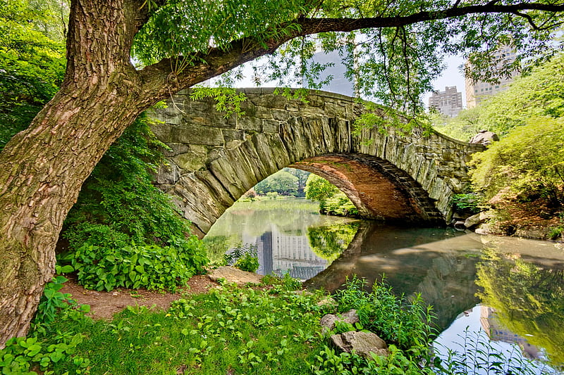 A stone bridge, Gapstow Bridge, in Central Park, NY, greenery, bonito, trees, city, New York, Central park, stone, bridge, summer, river, reflection, scene, HD wallpaper