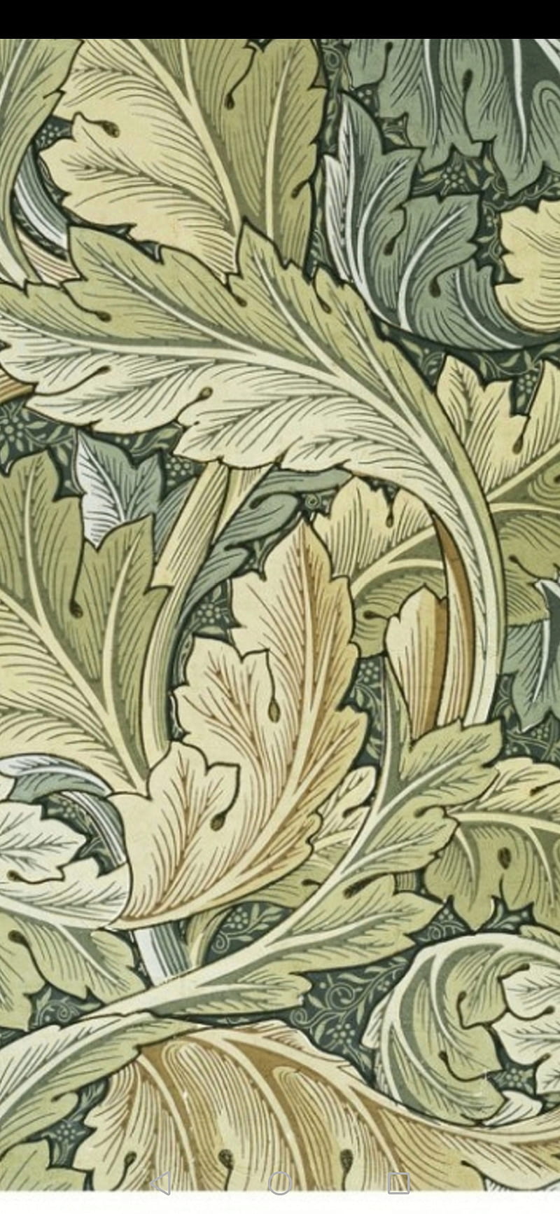William Morris, art work, green leaf, HD phone wallpaper | Peakpx