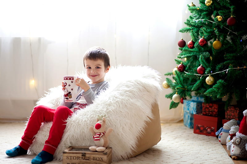 Christmas time, tree, boy, green, christmas, copil, child, room, HD wallpaper