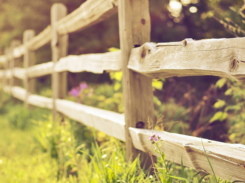Summer fence, fence, grass, sunny, foliage, green, rail, summer, road, tracks, wooden, HD wallpaper