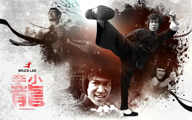 Bruce Lee the founder of jeet kun do, 18, bruce, 2011, 10, lee, HD wallpaper  | Peakpx