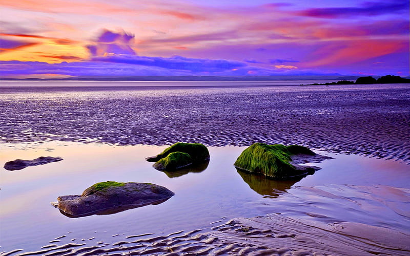 SEA SUNSET, sand, water, stones, sunset, reflection, sea, seaweed, stranded, HD wallpaper
